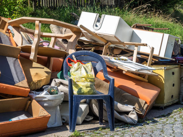 Best Professional Junk Removal  in Lewiston, MN