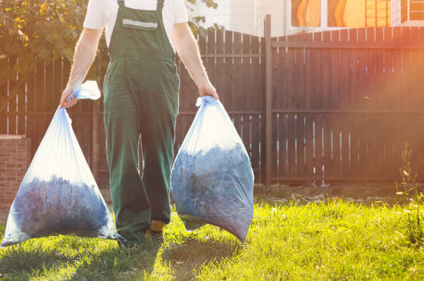 Best Dumpster Rental Services  in Lewiston, MN